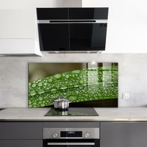 Backsplash cozinha Gotas de orvalho na grama