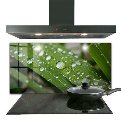 Painel cozinha Detalhes da Flor Rosa Natureza