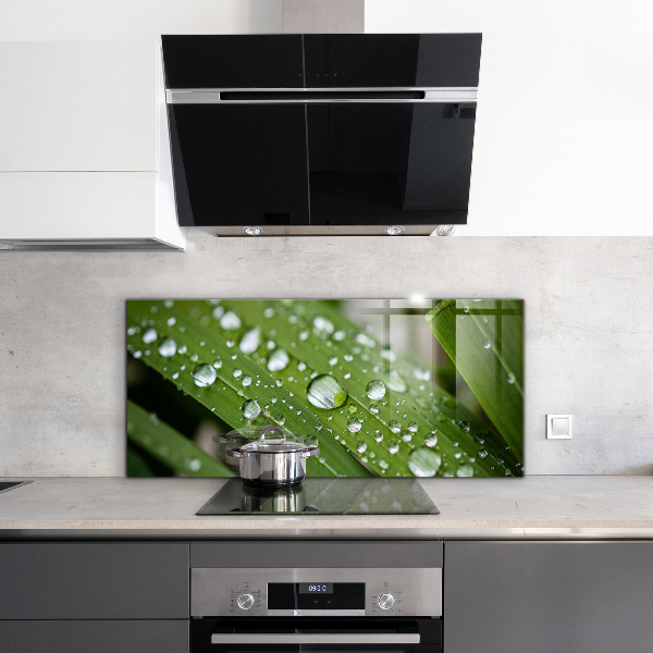 Painel cozinha Detalhes da Flor Rosa Natureza