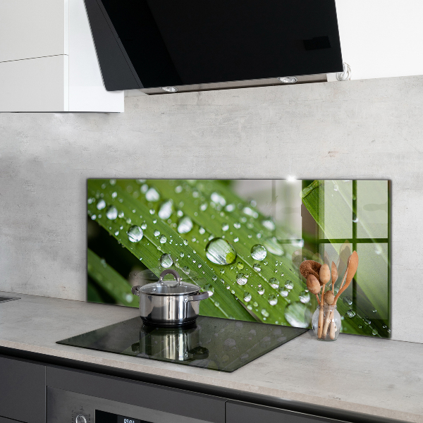 Painel cozinha Detalhes da Flor Rosa Natureza