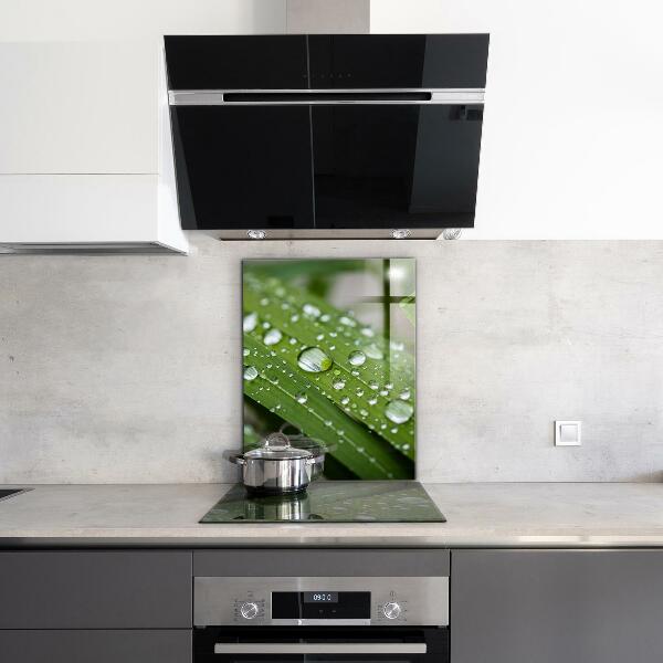 Painel cozinha Detalhes da Flor Rosa Natureza