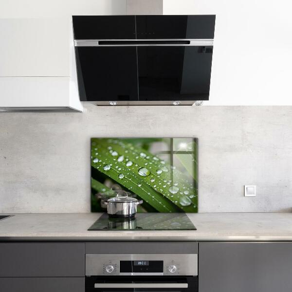 Painel cozinha Detalhes da Flor Rosa Natureza