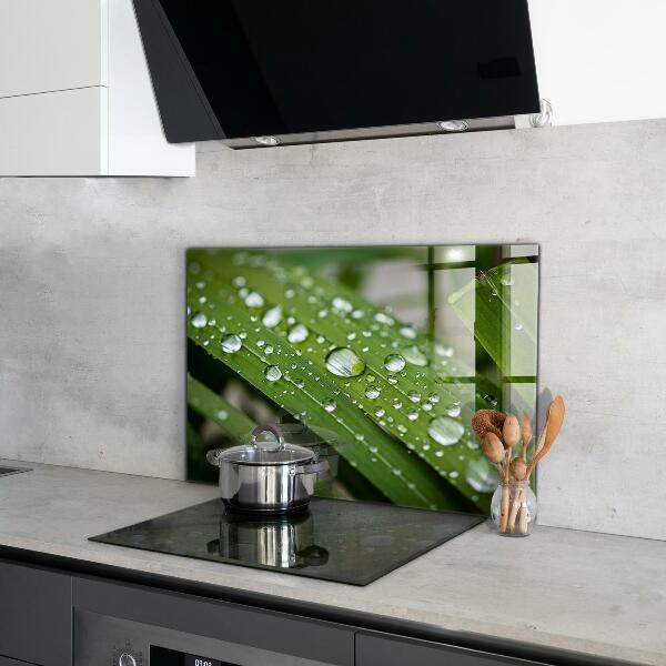 Painel cozinha Detalhes da Flor Rosa Natureza