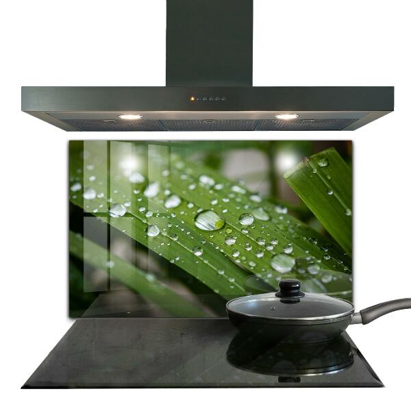 Painel cozinha Detalhes da Flor Rosa Natureza