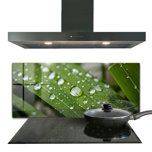 Painel cozinha Detalhes da Flor Rosa Natureza