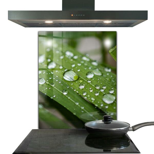 Painel cozinha Detalhes da Flor Rosa Natureza