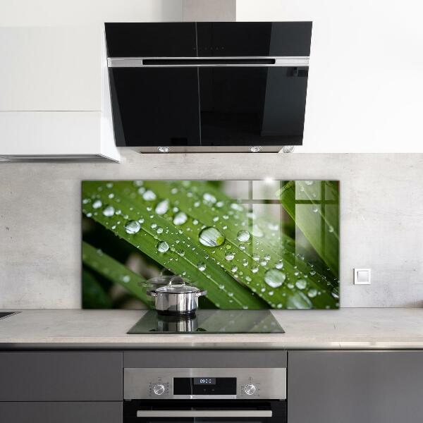 Painel cozinha Detalhes da Flor Rosa Natureza