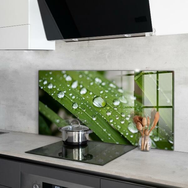 Painel cozinha Detalhes da Flor Rosa Natureza