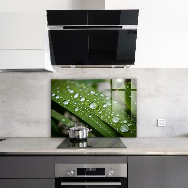 Painel cozinha Detalhes da Flor Rosa Natureza