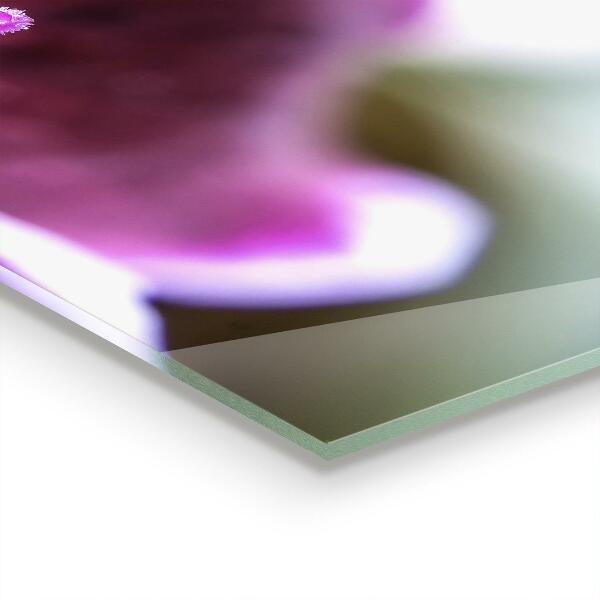 Painel para cozinha Crisântemo Azul