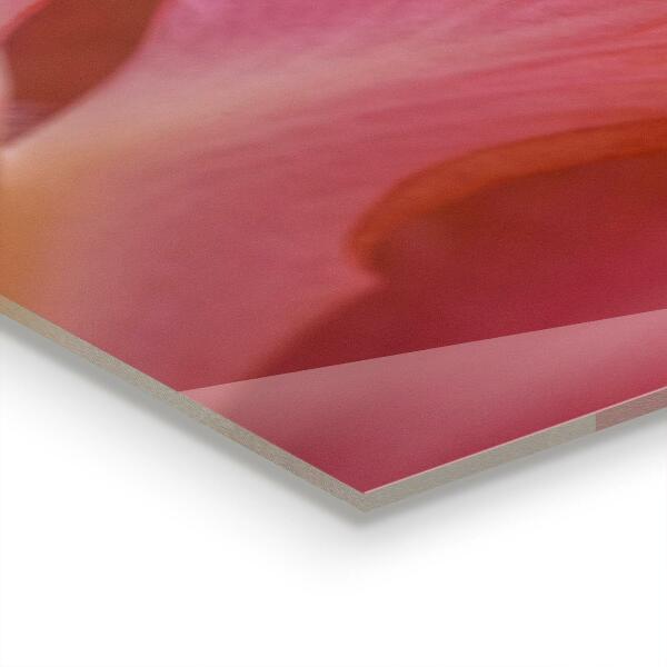 Painel para cozinha Lírios Rosa Beleza Natural