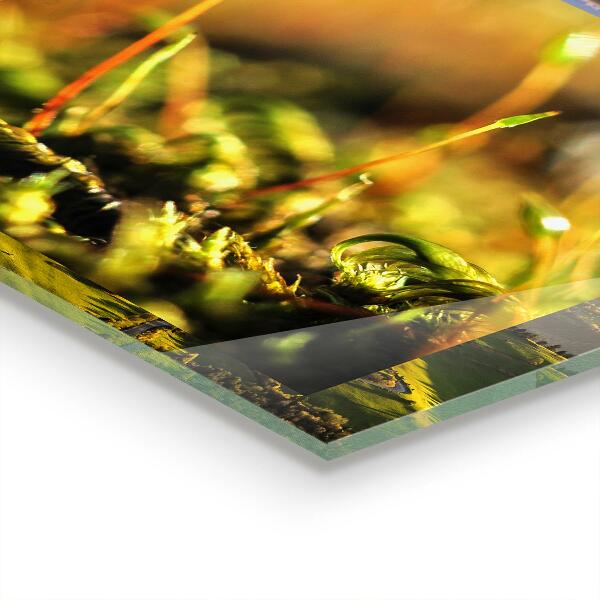 Painel cozinha Lírios Rosa Beleza Natural