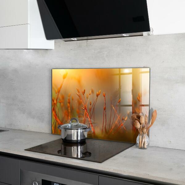 Painel para cozinha Dente-de-leão ao vento