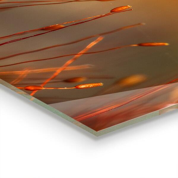 Painel para cozinha Dente-de-leão ao vento