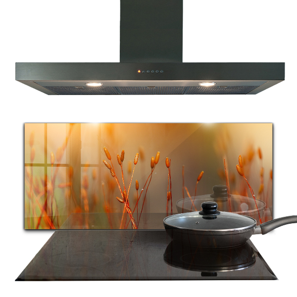 Painel para cozinha Dente-de-leão ao vento