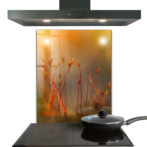 Painel para cozinha Dente-de-leão ao vento