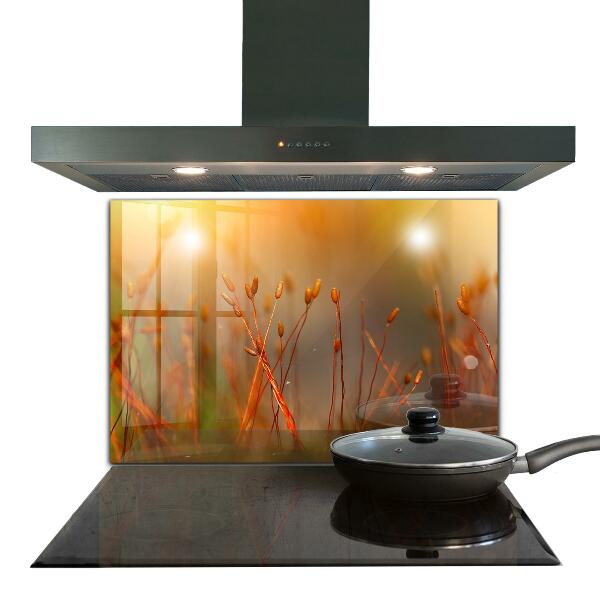 Painel para cozinha Dente-de-leão ao vento