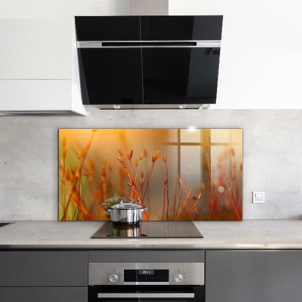 Painel para cozinha Dente-de-leão ao vento