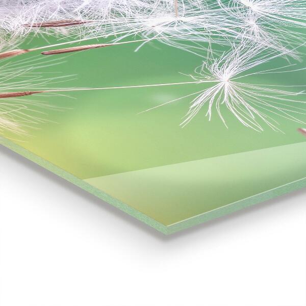 Backsplash cozinha Detalhes da Flor Rosa Natureza