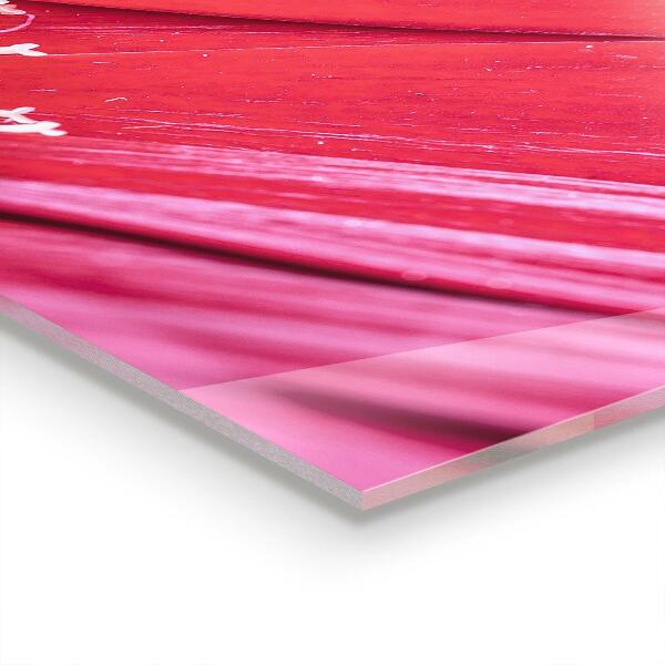 Painel cozinha Cacto Suculento