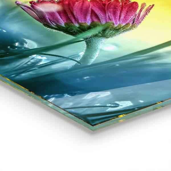 Painel cozinha Prado Colorido