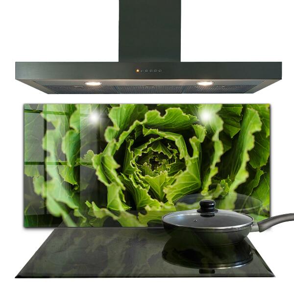 Backsplash cozinha Ervas Naturais Saúde