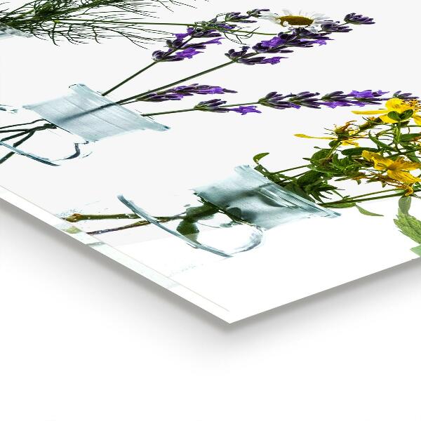 Painel cozinha Folhas verdes depois da chuva