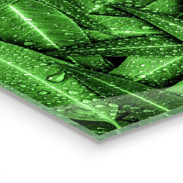 Painel para cozinha Gotas de Orvalho Flor Roxa