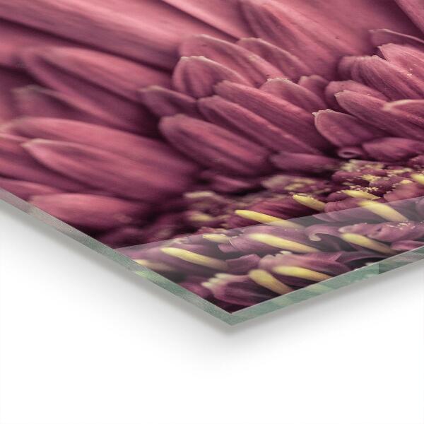 Painel cozinha Ilustração de folhas exóticas