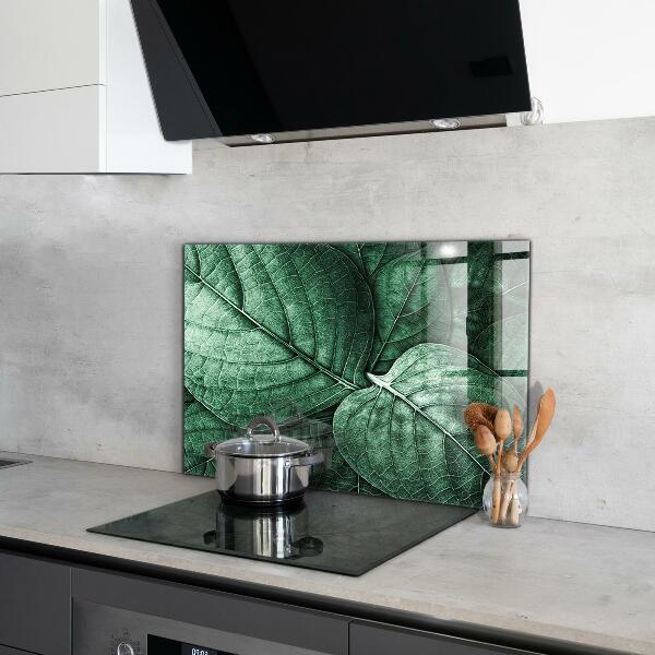 Painel para cozinha Jardim de pedras suculentas verde