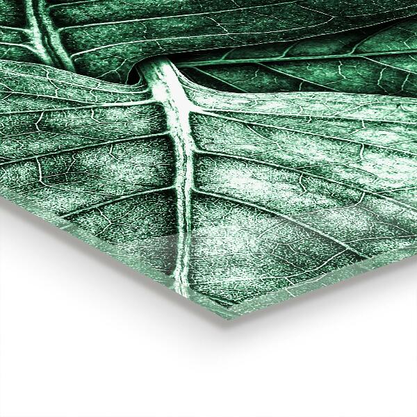 Painel para cozinha Jardim de pedras suculentas verde