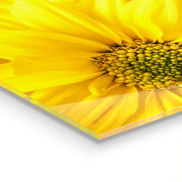 Painel cozinha Folha Delicada e Elegante