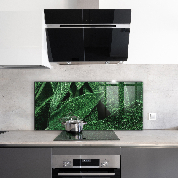 Backsplash cozinha Folhas de espinafre para a saúde