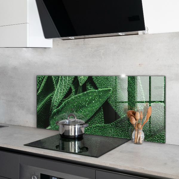 Backsplash cozinha Folhas de espinafre para a saúde