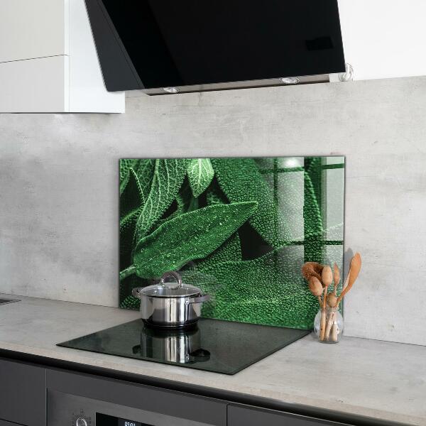 Backsplash cozinha Folhas de espinafre para a saúde