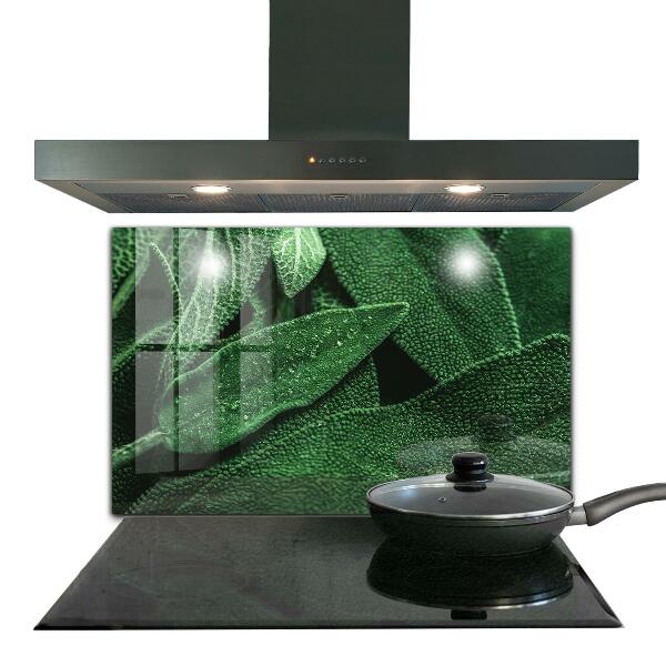 Backsplash cozinha Folhas de espinafre para a saúde