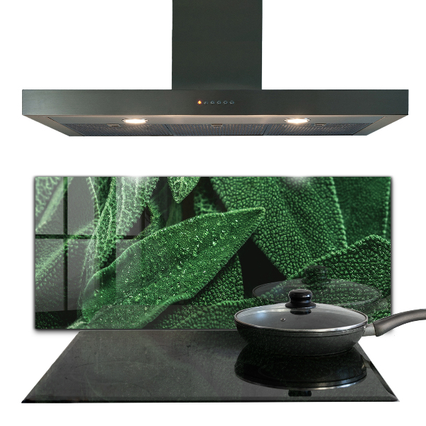 Backsplash cozinha Folhas de espinafre para a saúde