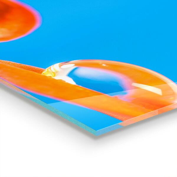 Painel cozinha Lilás de verão florescendo no jardim