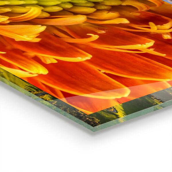 Painel cozinha Flor roxa de verão