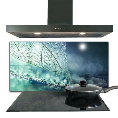 Backsplash cozinha Planta de Aloe Vera