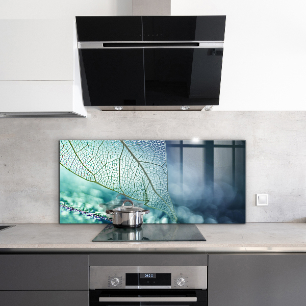 Backsplash cozinha Planta de Aloe Vera