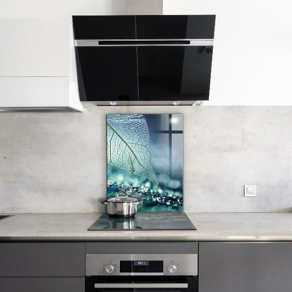 Backsplash cozinha Planta de Aloe Vera