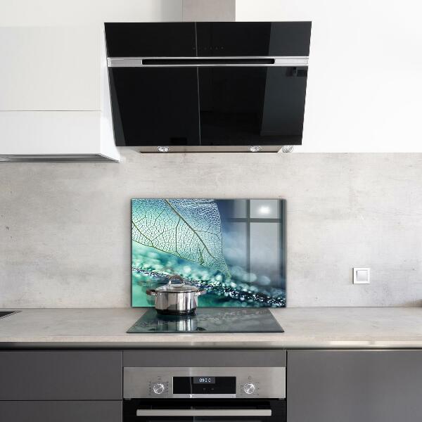 Backsplash cozinha Planta de Aloe Vera