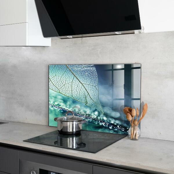 Backsplash cozinha Planta de Aloe Vera