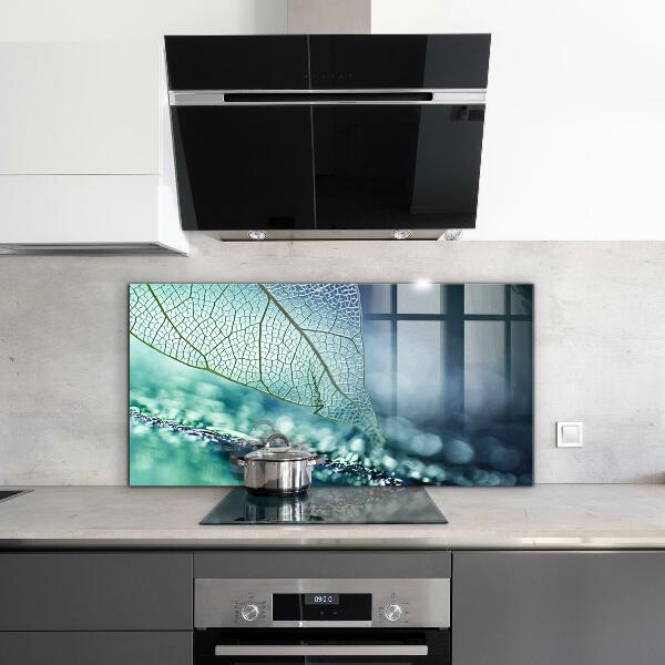 Backsplash cozinha Planta de Aloe Vera