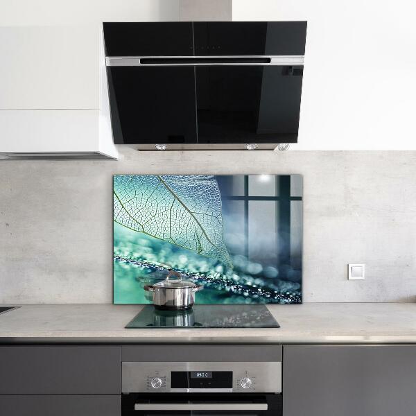 Backsplash cozinha Planta de Aloe Vera