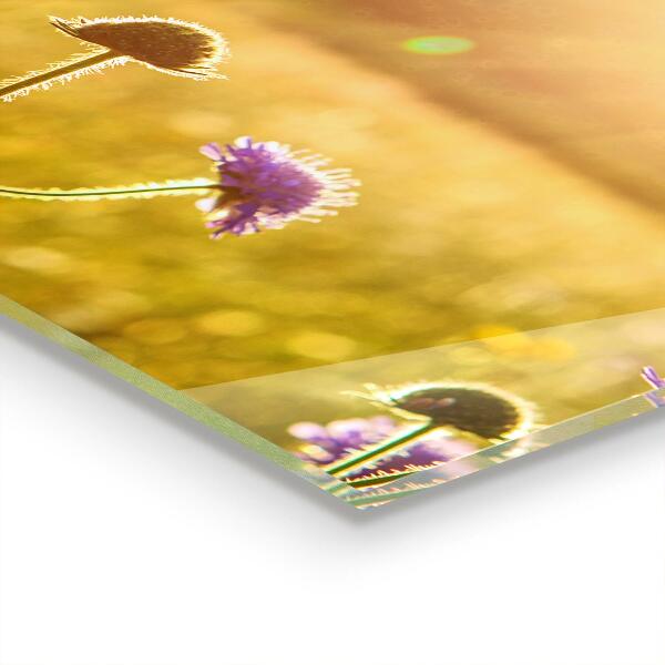 Painel para cozinha Rosa Símbolo do Amor