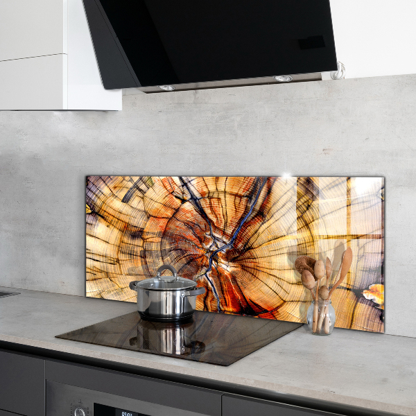 Painel cozinha Folha de samambaia verde