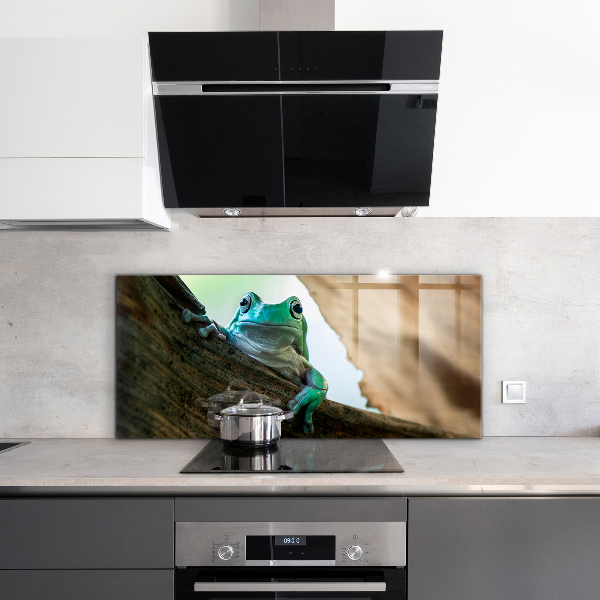 Painel cozinha Sapo curioso em uma folha