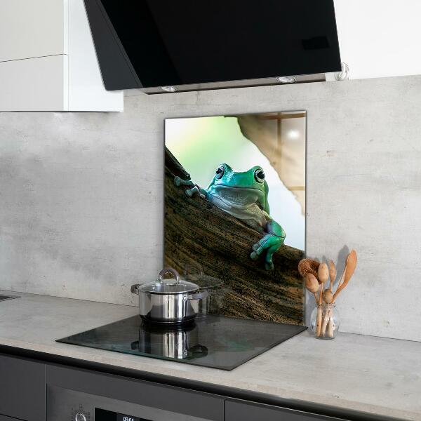 Painel cozinha Sapo curioso em uma folha